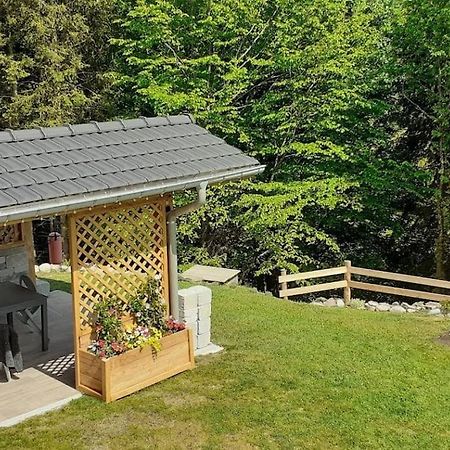 Appartement Cosy A Bussang Exterior foto